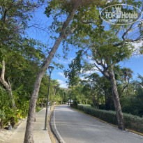 фото из отзыва ID 2255301