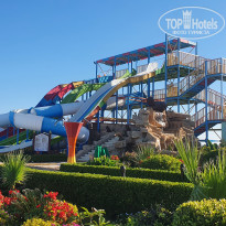 фото из отзыва ID 2255329