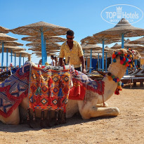 фото из отзыва ID 2255329