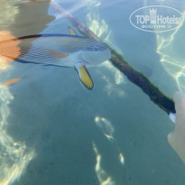 фото из отзыва ID 2255478