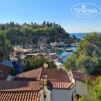 фото из отзыва ID 2255134