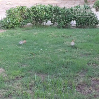 фото из отзыва ID 2255527