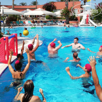 фото из отзыва ID 2255620