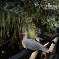 фото из отзыва ID 2255677