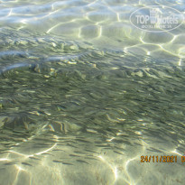 фото из отзыва ID 2255684