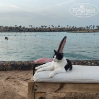 фото из отзыва ID 2255711