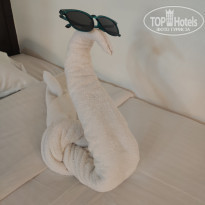 фото из отзыва ID 2255711