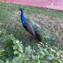 фото из отзыва ID 2255798