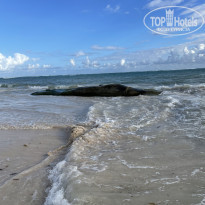 фото из отзыва ID 2255808