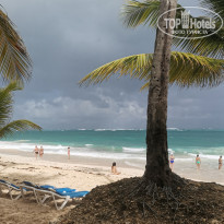 фото из отзыва ID 2255828