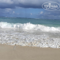 фото из отзыва ID 2255828