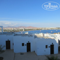 фото из отзыва ID 2255846