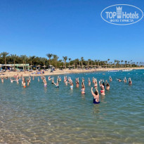 фото из отзыва ID 2255858