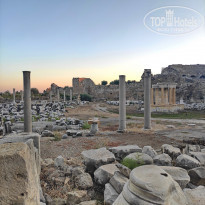 фото из отзыва ID 2255952