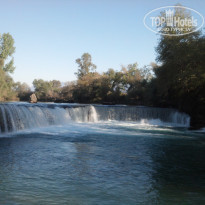 фото из отзыва ID 2255952