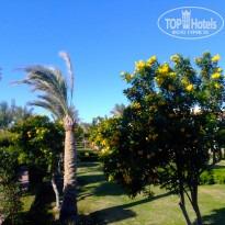 фото из отзыва ID 2256070