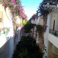 фото из отзыва ID 2256070