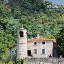 фото из отзыва ID 2256195