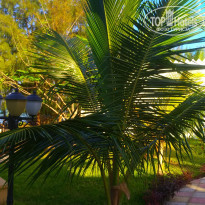 фото из отзыва ID 2255513