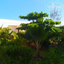 фото из отзыва ID 2255513