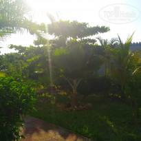 фото из отзыва ID 2255513