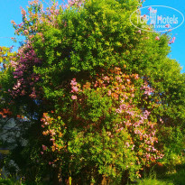 фото из отзыва ID 2255513