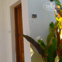 фото из отзыва ID 2255513