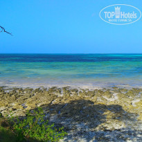 фото из отзыва ID 2255513