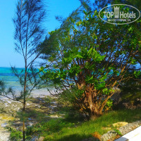 фото из отзыва ID 2255513