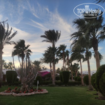 фото из отзыва ID 2256236