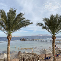 фото из отзыва ID 2256279