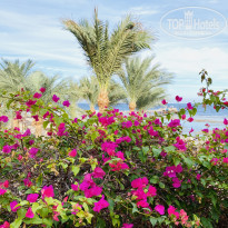 фото из отзыва ID 2256279