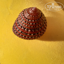 фото из отзыва ID 2256330