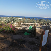 фото из отзыва ID 2256330