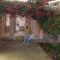 фото из отзыва ID 2256330