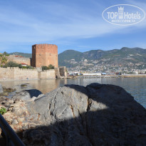 фото из отзыва ID 2256412