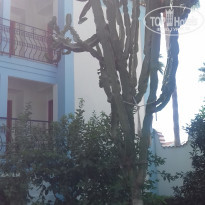 фото из отзыва ID 2256413