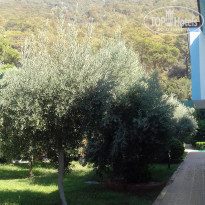 фото из отзыва ID 2256413