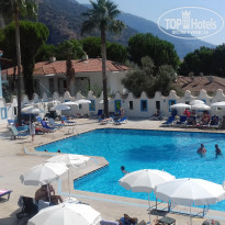 фото из отзыва ID 2256413