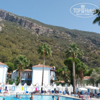 фото из отзыва ID 2256413