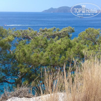 фото из отзыва ID 2256413