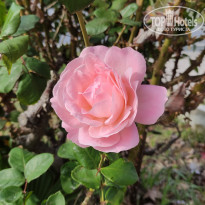 фото из отзыва ID 2256593