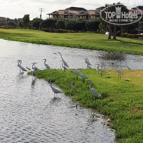 фото из отзыва ID 2253698