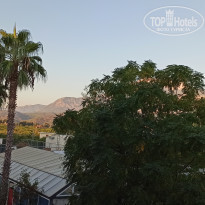 фото из отзыва ID 2256583