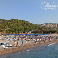 фото из отзыва ID 2256583