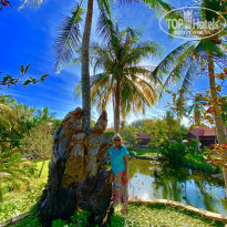 фото из отзыва ID 2256646