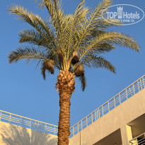 фото из отзыва ID 2256435