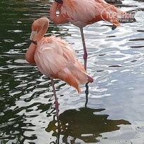 фото из отзыва ID 2256790