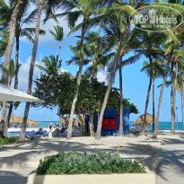 фото из отзыва ID 2256790