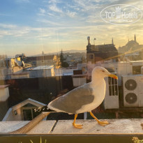 фото из отзыва ID 2256861